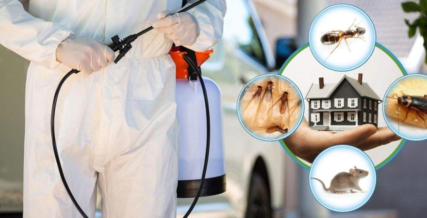 Tekman Böcek İlaçlama