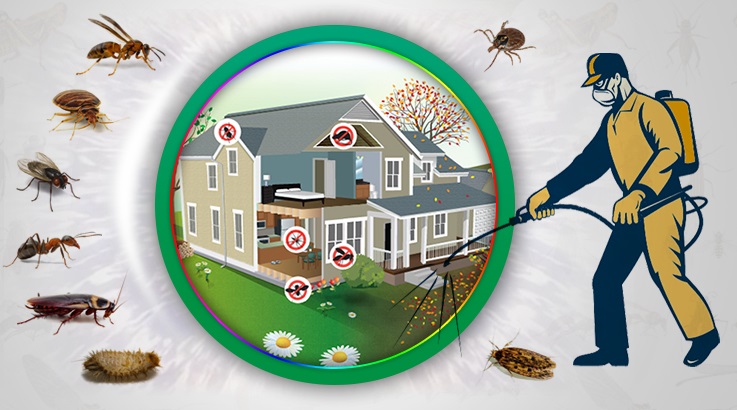 Tekman Böcek İlaçlama