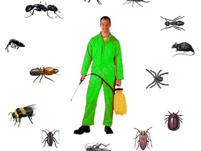 Tekman Böcek İlaçlama